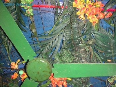 Foto: 41779.jpg