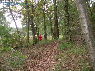 Foto: 42177.jpg