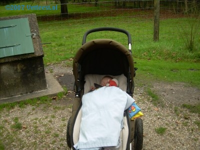 Foto: 42210.jpg