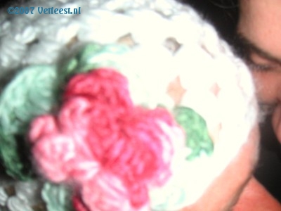 Foto: 43017.jpg