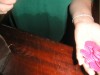 Foto: 45446_resized.jpg