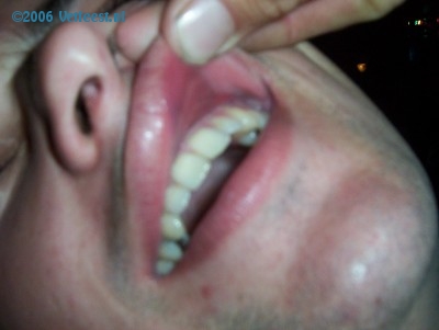 Foto: 4911.jpg