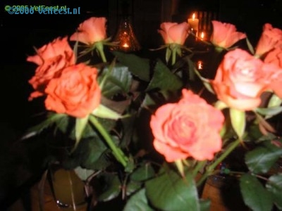 Foto: 5593.jpg