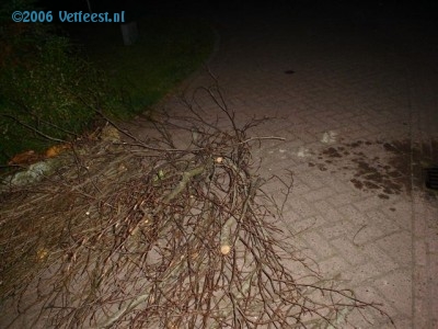 Foto: 5703.jpg