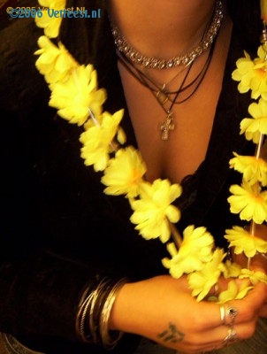 Foto: 8519.jpg