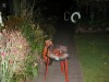 Foto: 8666_resized.jpg
