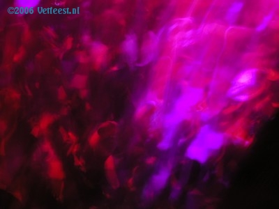 Foto: 8731.jpg