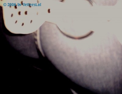 Foto: 957.jpg